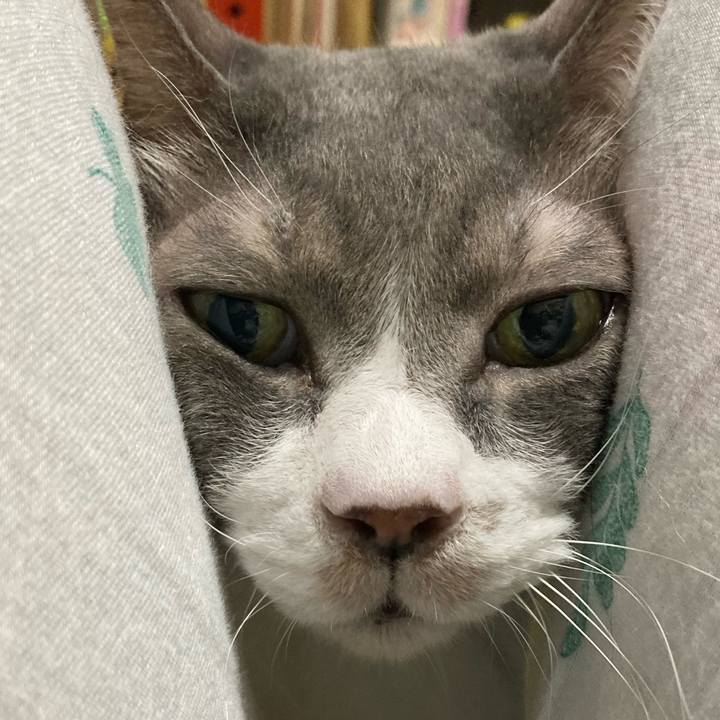 Cd04029e a52b 432d a2c1 a02b5c73170a 1756990118843