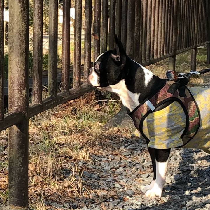 Cd040ae8 7777 44ac a17f 59a9f1ac6eb5 1521020676229