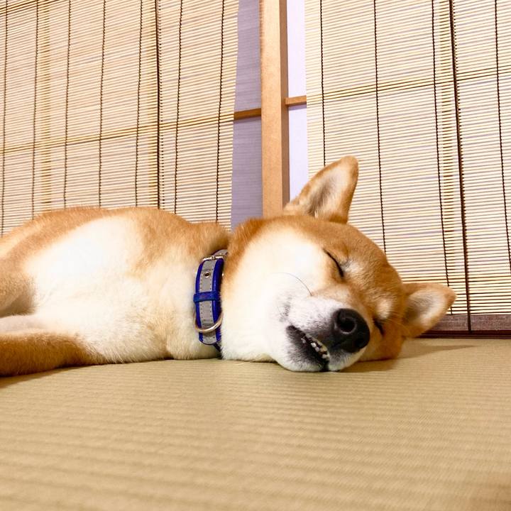 Cd0449e0 1b51 4940 9e64 534c4e8e050e 1688380434747