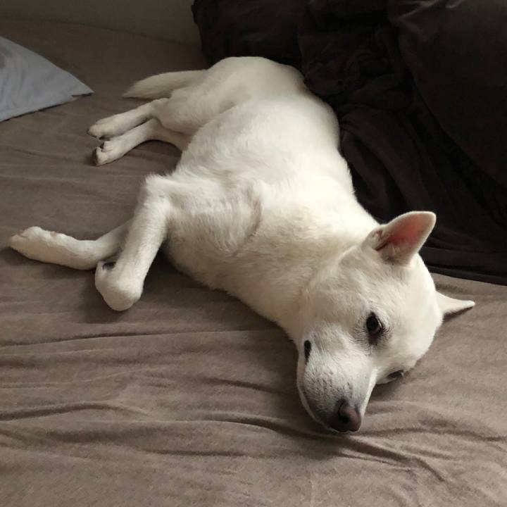 Cd049245 51a0 40ab af47 e063d411628b 1561721669536