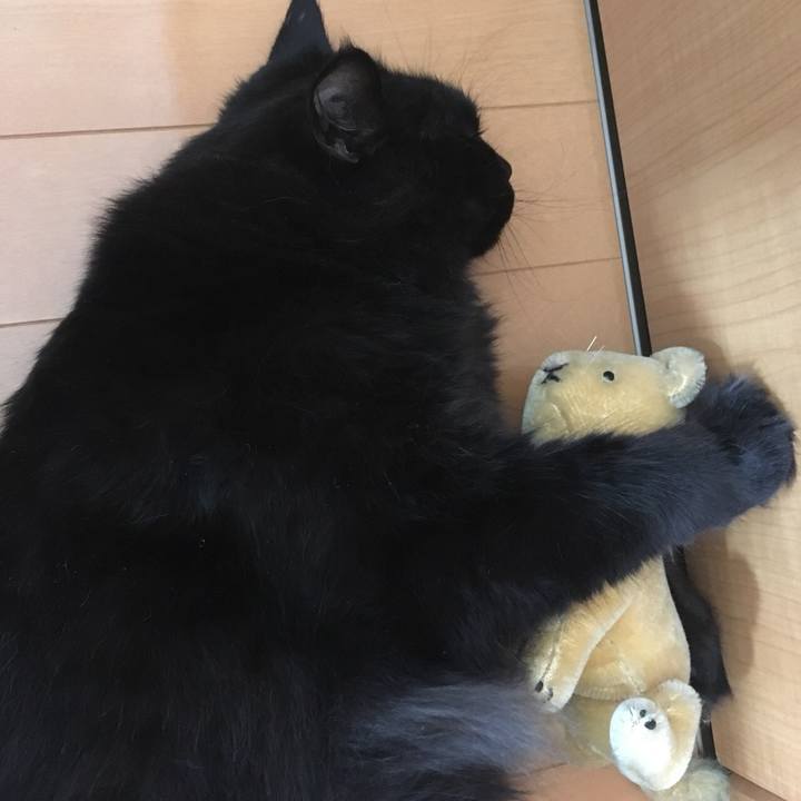 Cd04c399 7875 4893 8eb6 8e801a6e15b1 1533202253807