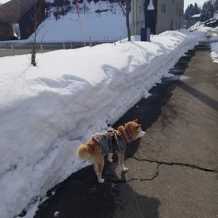 Cd04e5be c897 40a5 9d40 4a6fab2daa09 1737258490315