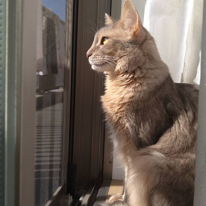 Cd050b7f 71f3 4828 b27e d03a3db96424 1610597413944