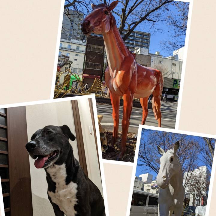 Cd051f13 8b42 4b0f b731 6726ea9f04ee 1703502571411