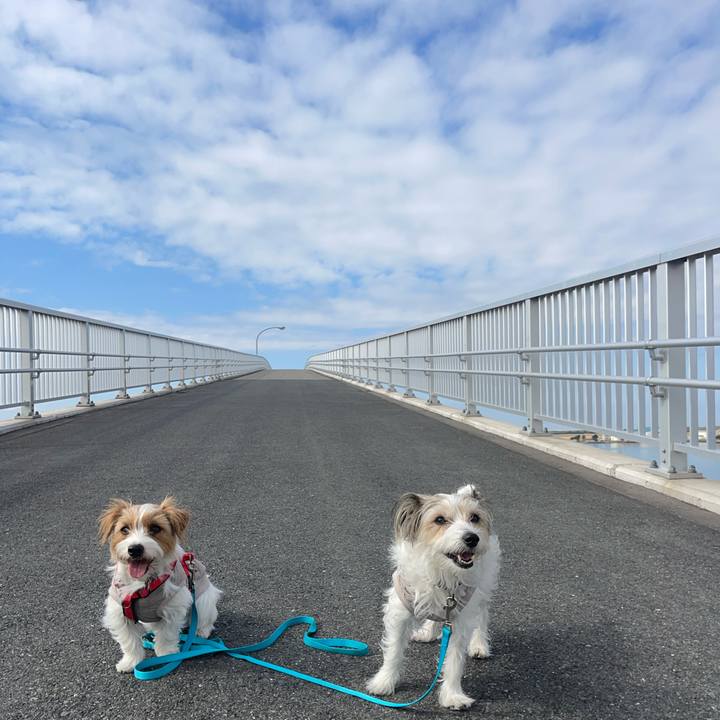 Cd052f98 90b2 48dc 832e e923ccec7127 1773663936600