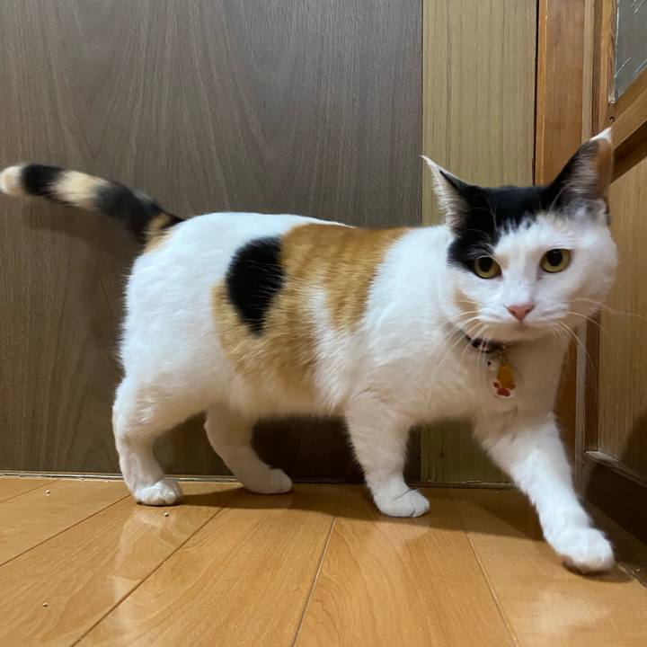 Cd057260 60ba 4e4d 93a8 12579ecd8a99 1647002913722