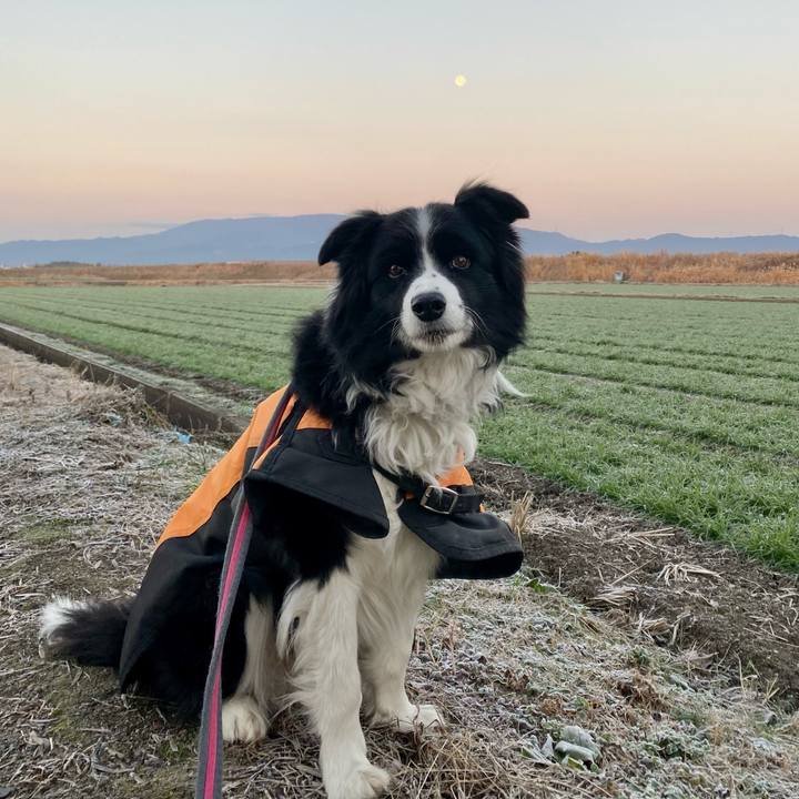 Cd05ae02 2b13 4b67 a44a ecf3053774a7 1611961873330