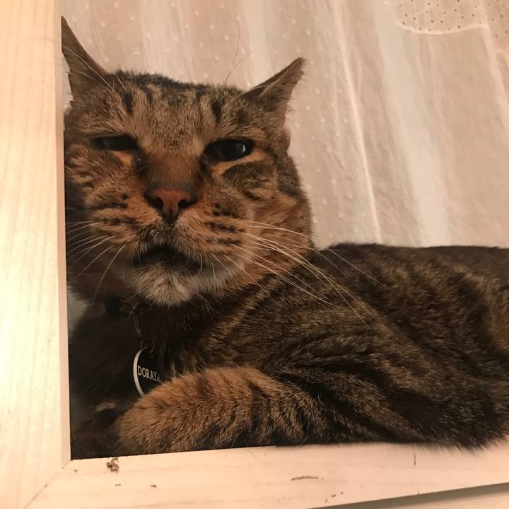 Cd05e55b 81ec 45d2 ba91 f1ad2c860213 1540848099498