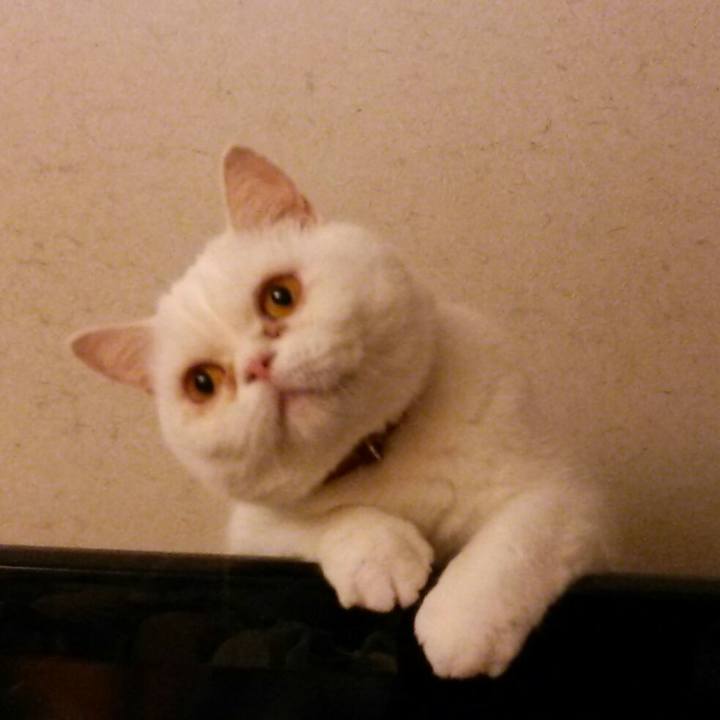 Cd05ec33 e50e 4f1a a2c4 19ef757fefa0 1512033425218