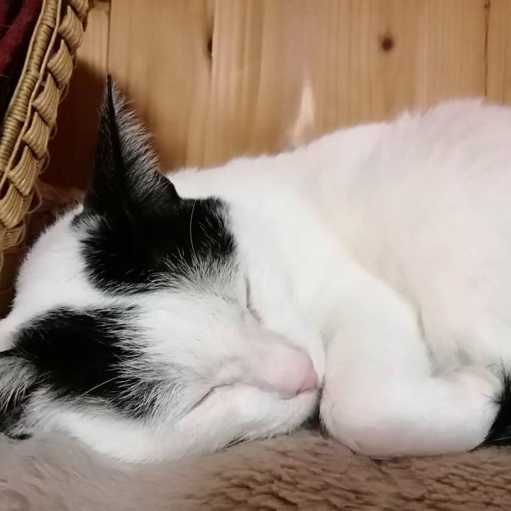 Cd05ffb1 714a 4684 a98a 53b3ed40c954 1575640306679