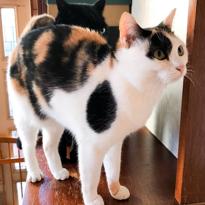 Cd06072f 3510 4e71 9552 71d23b5d1999 1515508370457