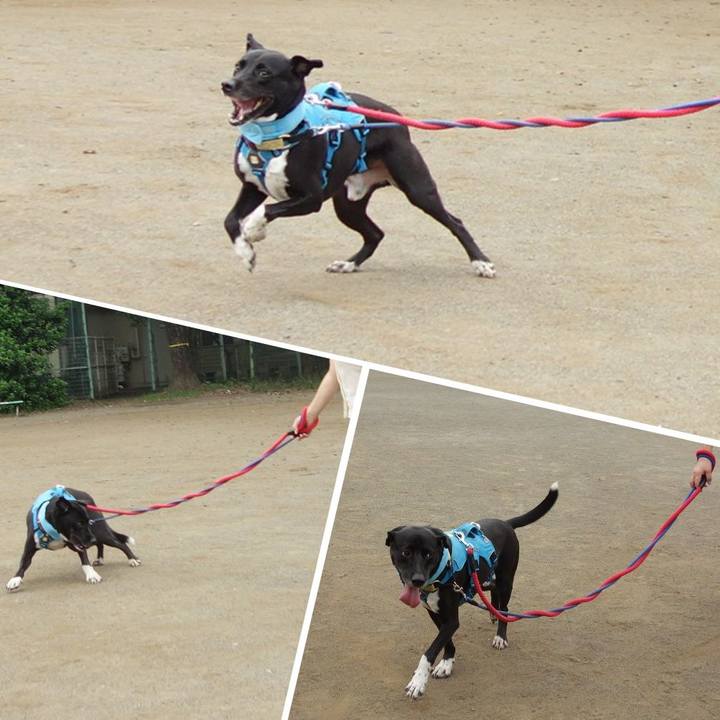 Cd064959 2f5a 419a a476 9d36e2d32955 1629850146543