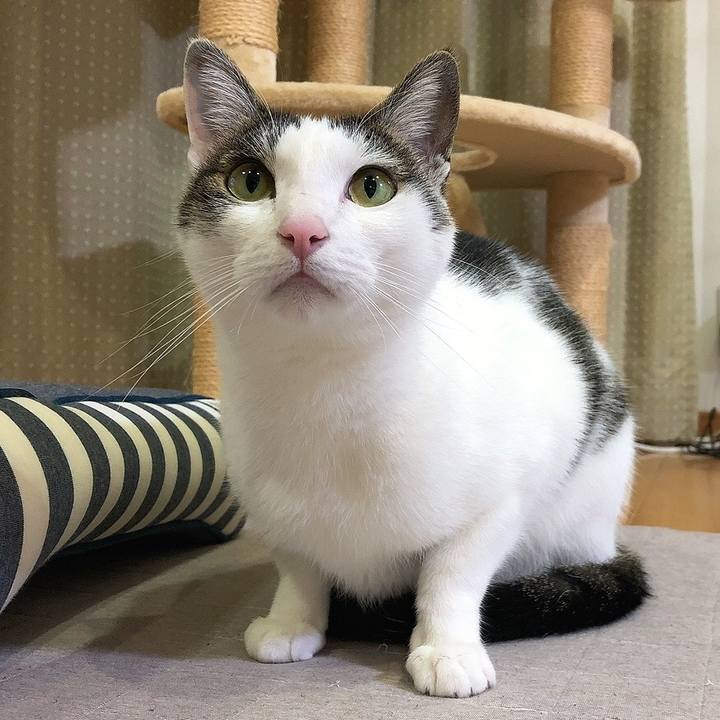 Cd064f04 4654 49ee 9593 97d876f20568 1652186645734