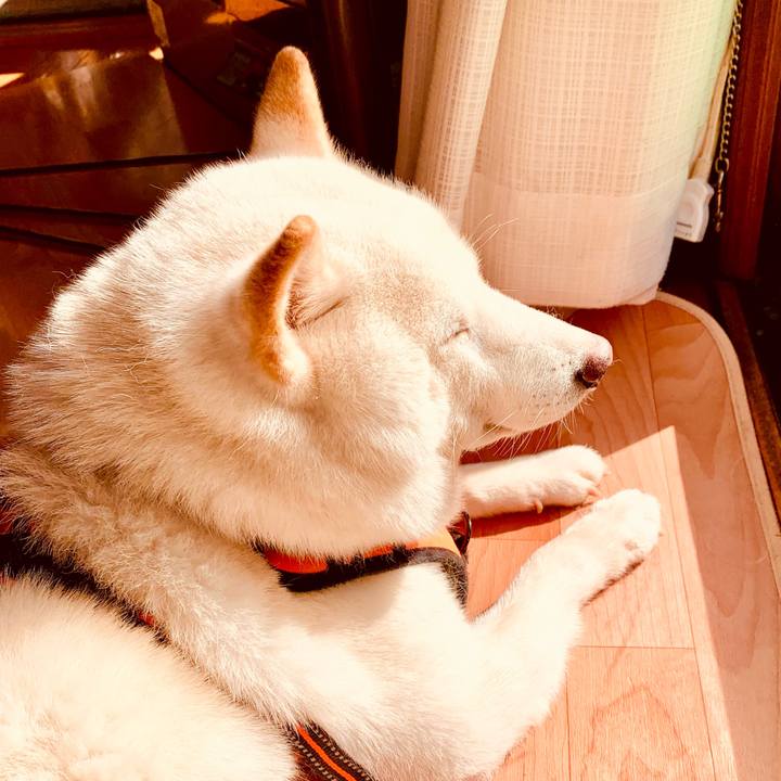 Cd065ea3 d4f2 4678 84b3 c04c023d11d2 1634367188104