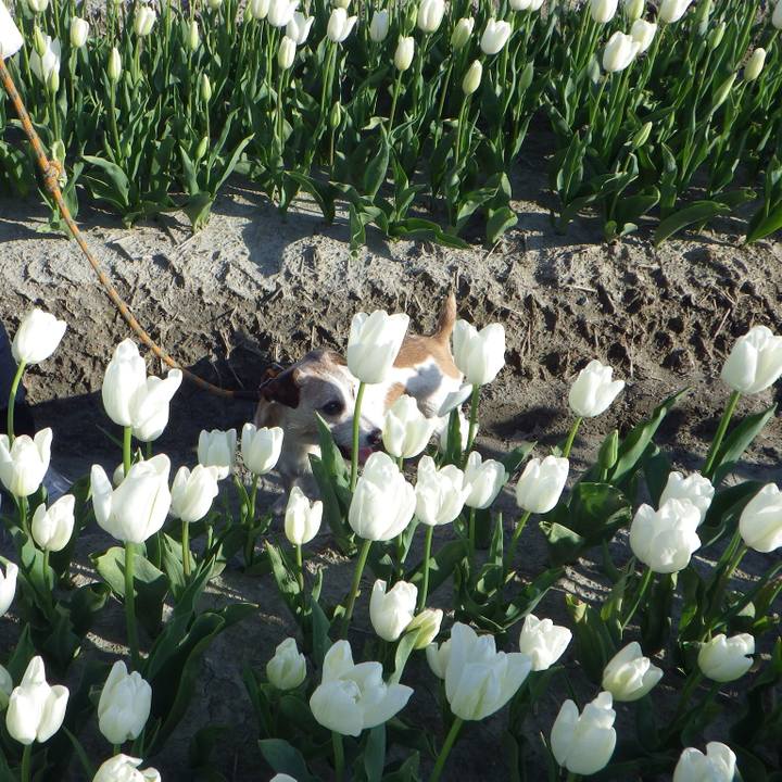 Cd0673cc a442 45d5 afcf c40034310b66 1555934912082