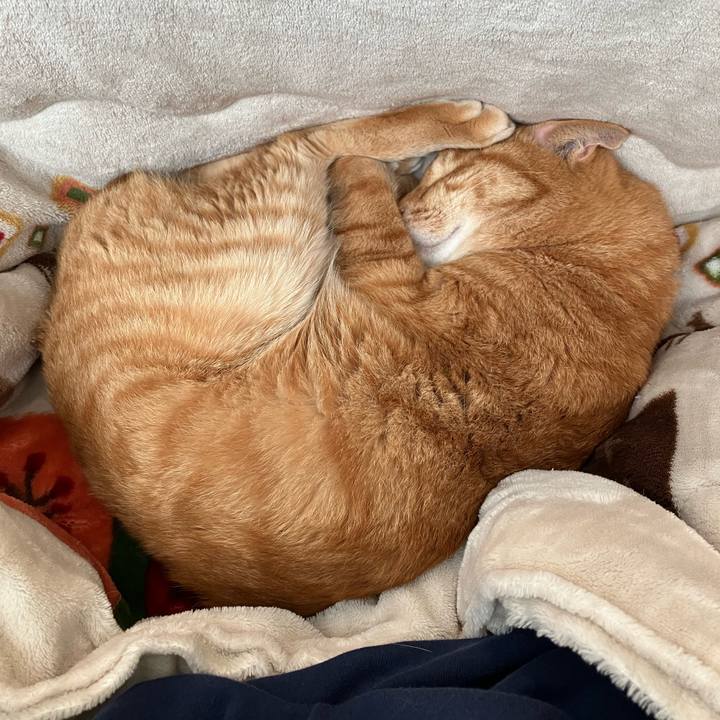 Cd069903 0a8c 4281 afbd 7c96fc81cdba 1761545707105