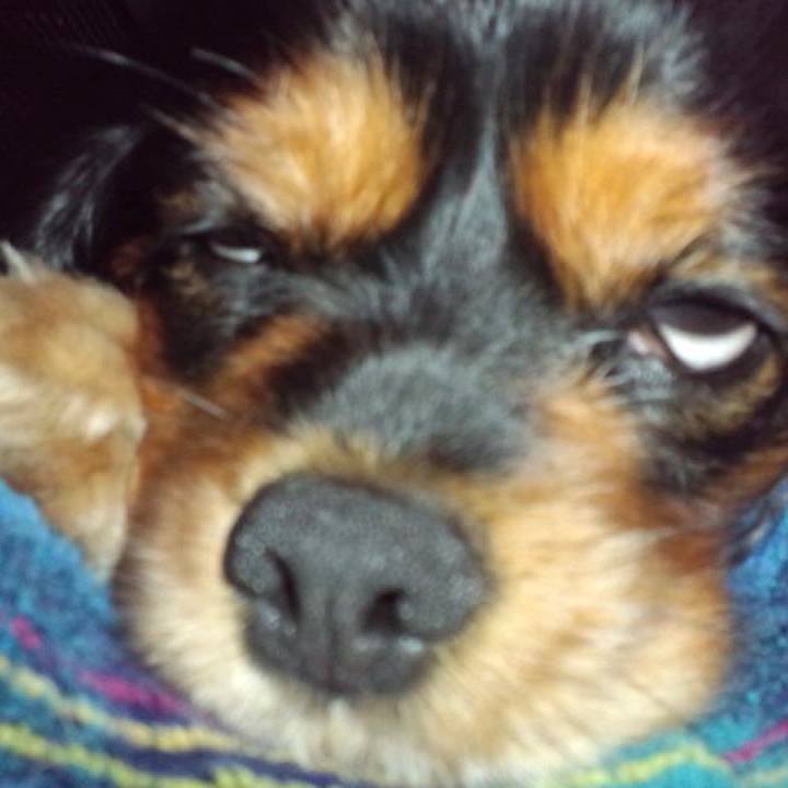 Cd06ab70 3654 4272 aebb 6f3a33b86507 1559136801543