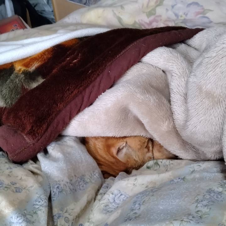 Cd06c54f 334e 4883 bff6 1b14e9d18774 1712182708004