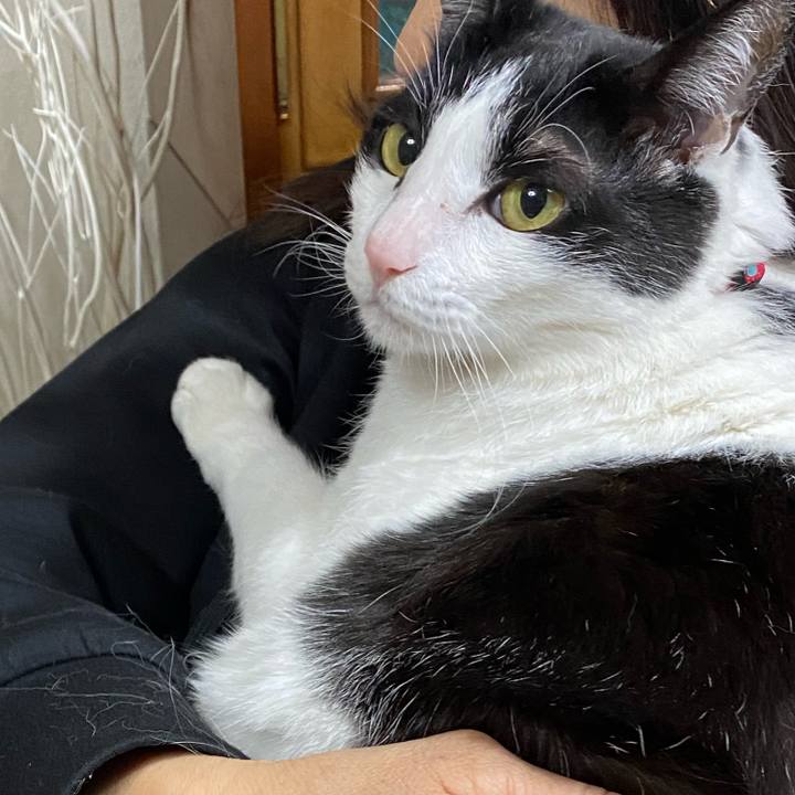 Cd06ccab f4b1 4e3a a285 f9cf0778eefe 1678536727061