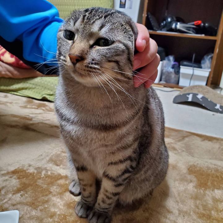 Cd06dd83 d191 4ad0 99a2 1bac3bf38d09 1709292363395