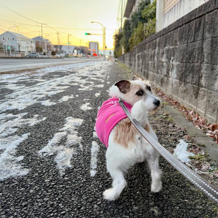 Cd071262 b3f1 4397 aaee 052bc2574886 1767665246378