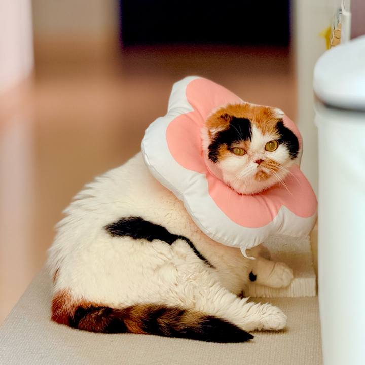 Cd073658 f8ba 4b7c b4a6 167fefbcbd14 1738458436054