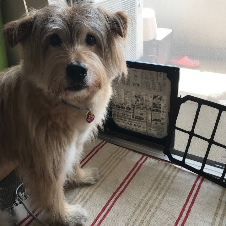 Cd07557a 0cf6 4b71 8570 787cf3b2b304 1592616442354