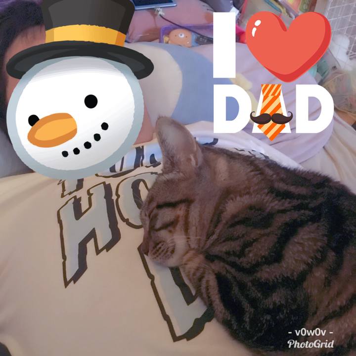 Cd0758b5 3f45 4bc5 8597 6e728d3acc5c 1543469718080