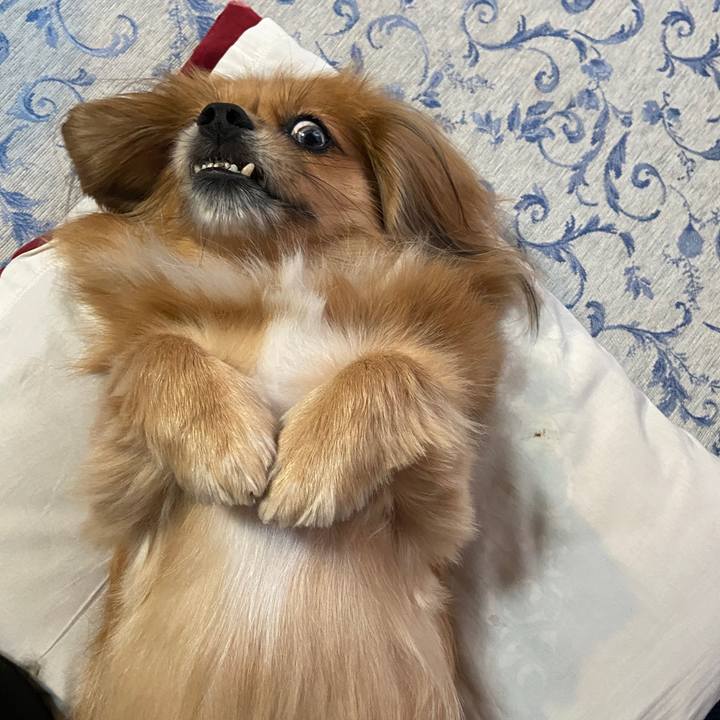 Cd076b0e 472f 4879 9535 2ba6bd24155d 1634506356364