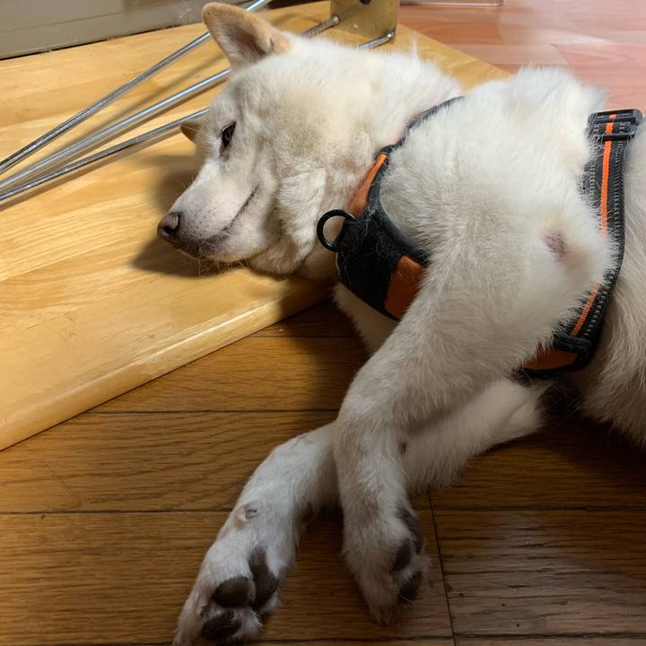 Cd0783fa 097a 4d57 9a38 9d9ecad7e32d 1669418291331