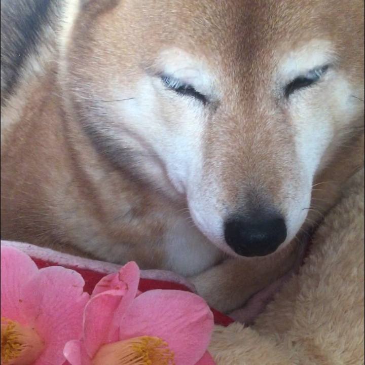 Cd078909 980d 46d6 a200 cc8e39068c59 1582014211270