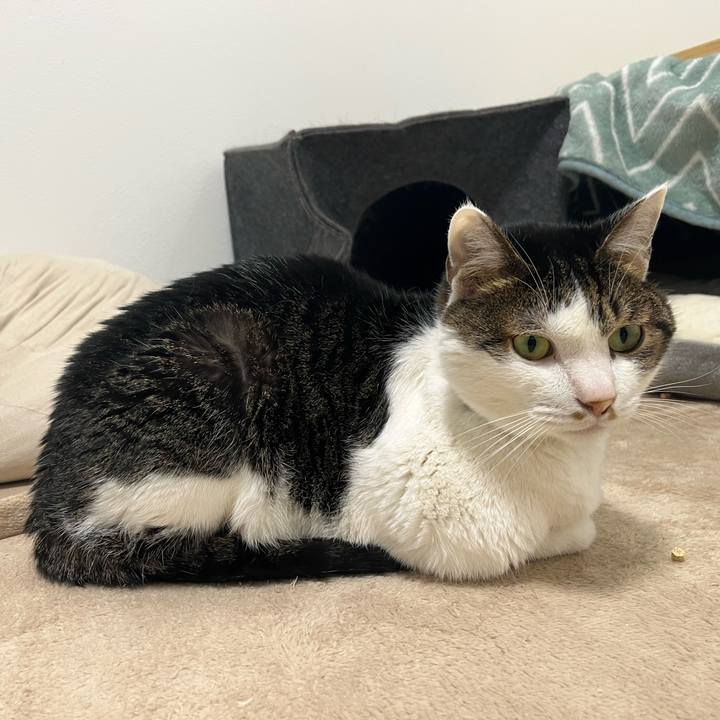 Cd079346 d71c 4925 95c6 35814ad37f0d 1765195610719