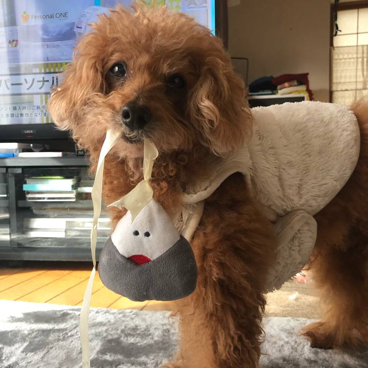 Cd079a38 2e59 4c5f 980b c36754f99533 1643771595797