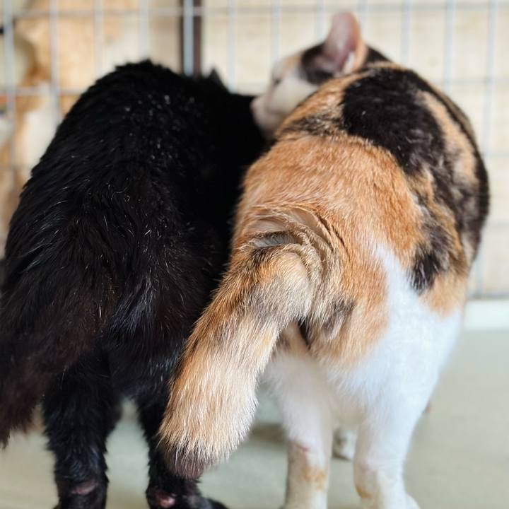 Cd07a326 191d 4f49 8696 c173244b4ae8 1708306903783