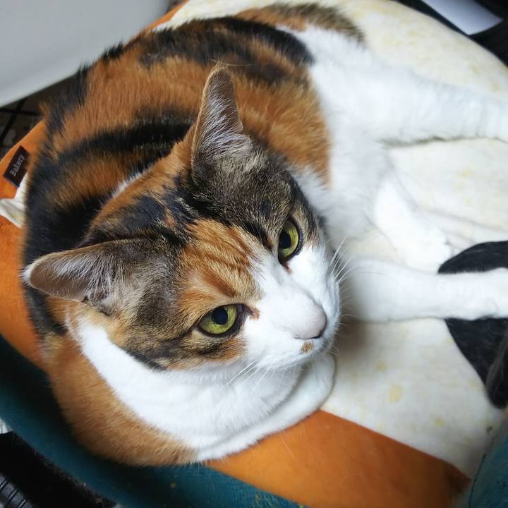 Cd07a42b d456 4399 8373 9c5b893db774 1559431294290