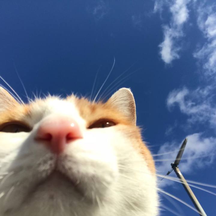 Cd082a83 1758 475e 88ca d95c8a5e24bf 1515033313152