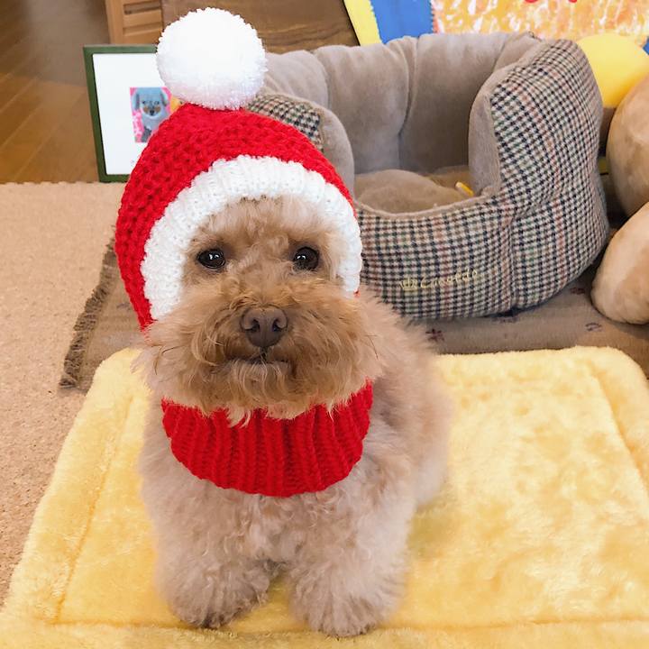 Cd082c3e bf12 432c a120 920d3035fb46 1544606211935