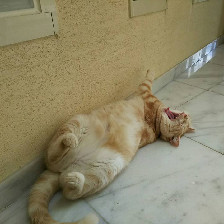 Cd086f89 62e1 45fa 8a25 2f450f425da6 1535080556392