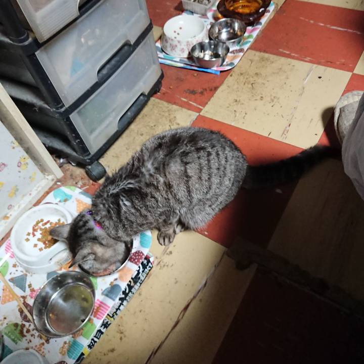 Cd0872e3 5dff 495b 8654 9fc166a895c1 1590006525675