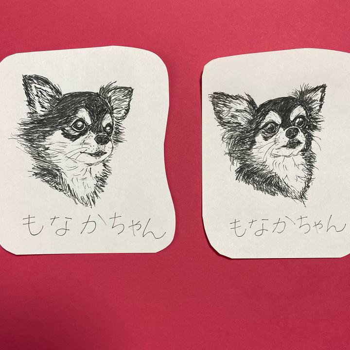 Cd0887a8 152f 4efa 950b d53403a5455e 1618804859997