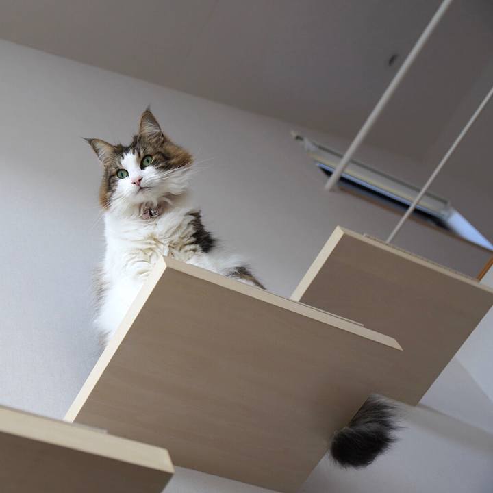 Cd08acc0 166f 4cc2 8b92 a7a9b8986253 1643249640649