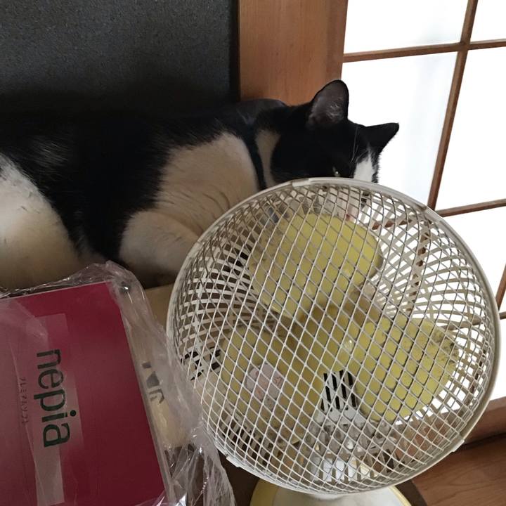 Cd08b476 e1c7 4981 8f07 6430ef2f365f 1753616850491