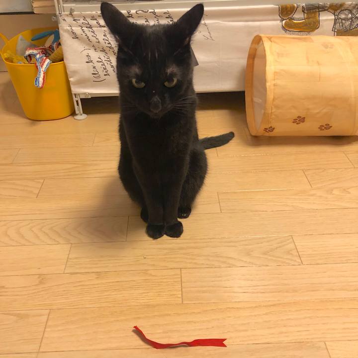 Cd08e8eb 54a2 4e96 98f7 545657112ff7 1557225233358