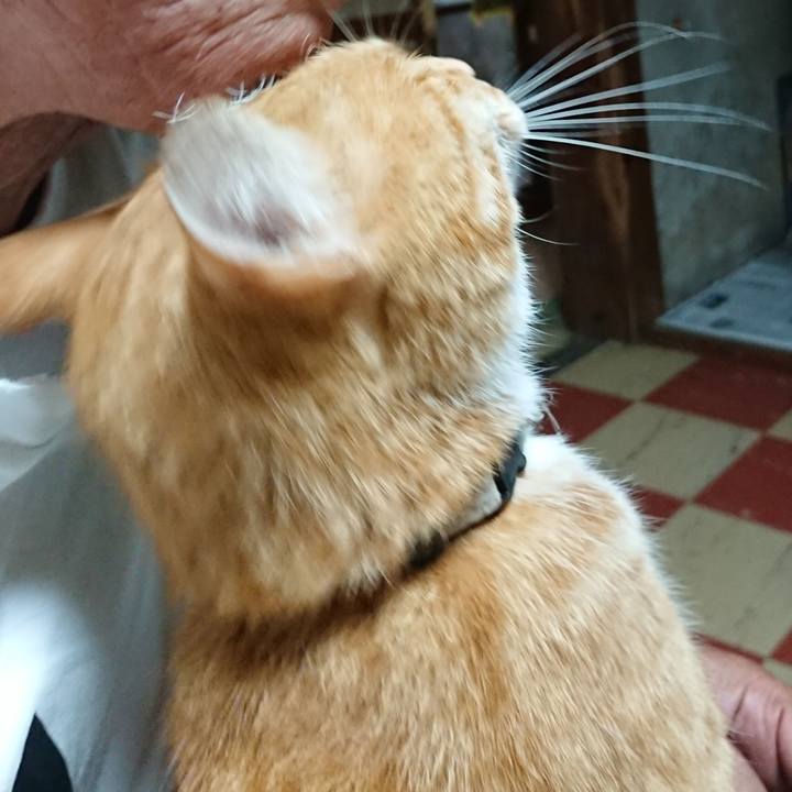 Cd08fc97 d5f5 4e2e 89f0 b7b20a58adb9 1594931936178