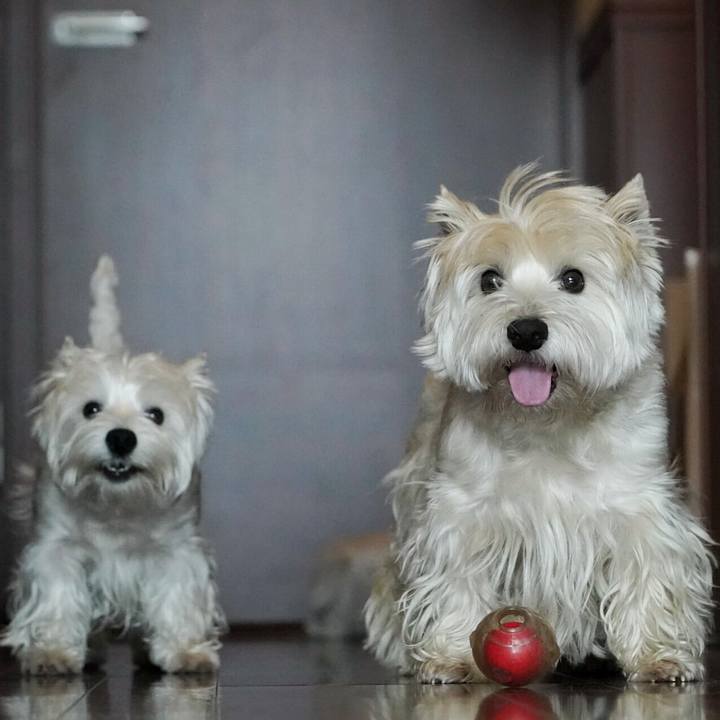 Cd09135b 1e32 4d95 9b3b 4d5147267bcd 1520343271208