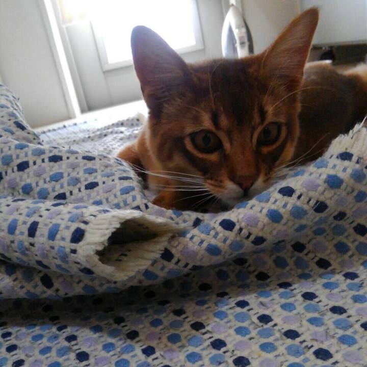 Cd091844 c11d 4718 8ded de5ac9cc9a2a 1585540605206