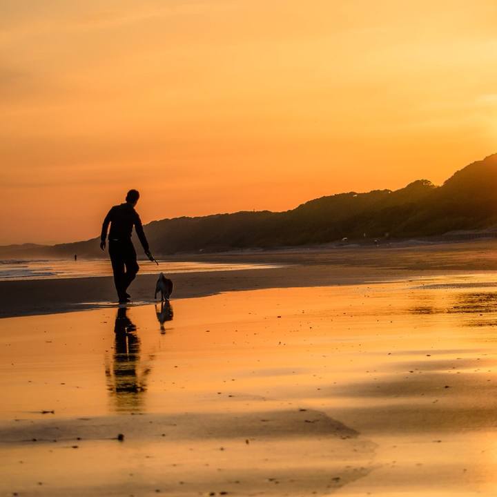 Cd095e3d d0f4 46b8 8362 396b40c2615e 1521985675346