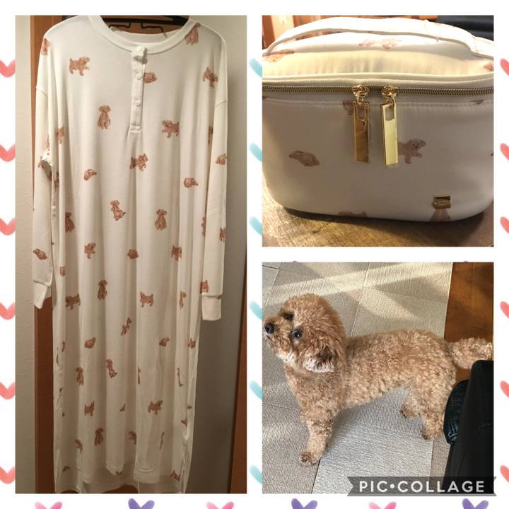 Cd099308 aa91 4db1 ac9f f50d5e9931af 1602303240226