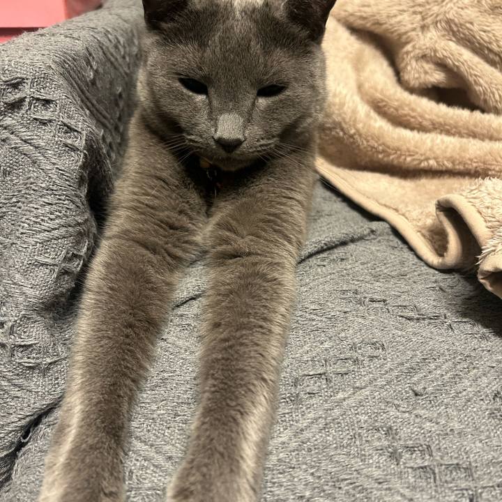 Cd09ab19 999b 402d b135 0d12c329ee05 1747658785516