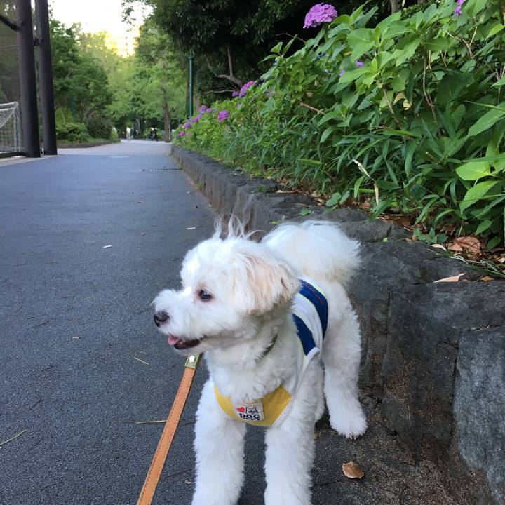 Cd0a21df 8d4d 4b28 ae32 beac4c2f28fb 1560430650420